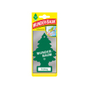 Wunder-Baum Frühling