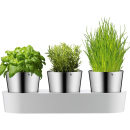 WMF Kräutergarten 3tlg., UVP: 77,99 Euro