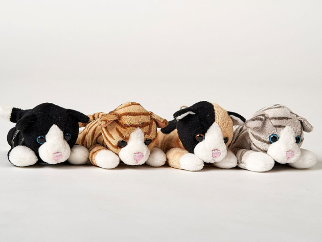 Plüsch Katze, Höhe 14 cm, 4-fach sortiert, einzeln