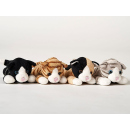 Plüsch Katze, Höhe 14 cm, 4-fach sortiert, einzeln