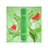 HQD SURV - Watermelon (Wassermelone) - Einweg E-Shisha - 18 mg - 600 Züge