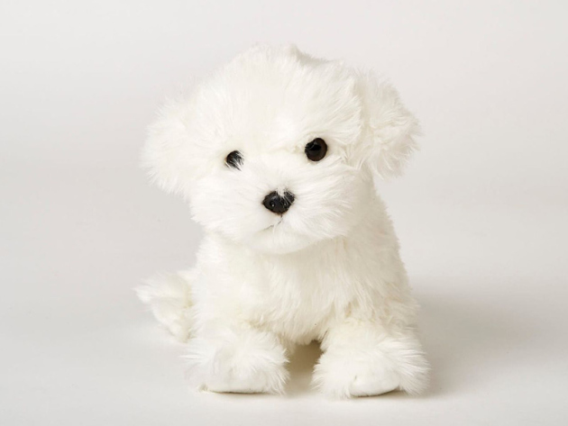 Plush Dog, 20 cm