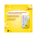 Wunder Zahnstocher - PINEAPPLE  (Ananas)