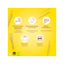 Wunder Zahnstocher - PINEAPPLE  (Ananas)