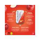 Wunder Zahnstocher - APPLE  (Apfel)