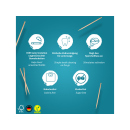 Wunder Zahnstocher - ICEBONBON (Eisbonbon)