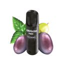 Al Massiva Pod - Black Lebanese - 17mg - 2er Set