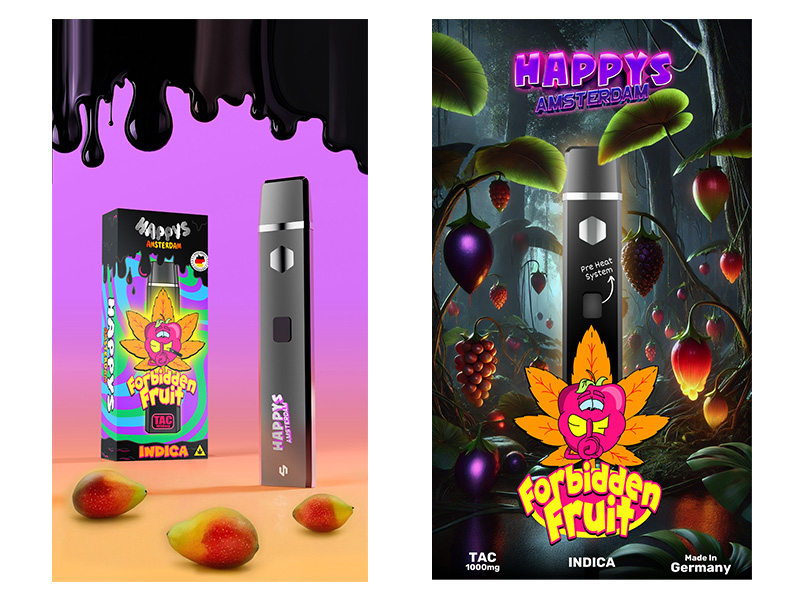 validation des acquis professionnels vap German/Slovak/Czech CBD HHC Disposable 1ml 0.5ml CBD Vape Pen main image 1