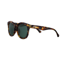 Sonnenbrillen - Zippo - Schildpatt-Grün