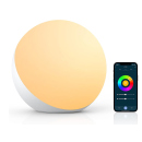 Smart LED Tischlampe; Touch Dimmbar, mit Alexa oder Google; WIFI; UVP: 49,99 Euro