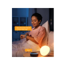 Smart LED Tischlampe; Touch Dimmbar, mit Alexa oder Google; WIFI; UVP: 49,99 Euro