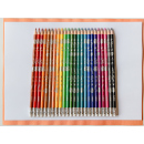 BIC - Buntstifte "Evolution radierbare Buntstifte", farbig sortiert, 24er Pack