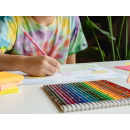 BIC - Buntstifte "Evolution radierbare Buntstifte", farbig sortiert, 24er Pack