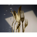 WMF Boston Besteck-Set, Champagner Gold, 24-teilig, Cromargan UVP: 249 €