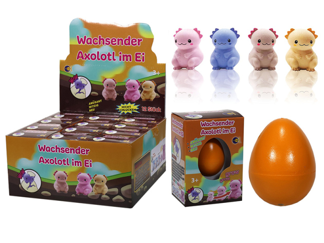 Axolotl wachsend im Ei, 4-fach sortiert; 12er Display