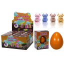 Axolotl wachsend im Ei, 4-fach sortiert; 12er Display