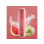 HQD SURV - Melon Punch (Melone) - Einweg Vape - 18 mg - 600 Züge