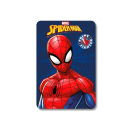 Spiderman Fleecedecke, UVP: 15,99 Euro