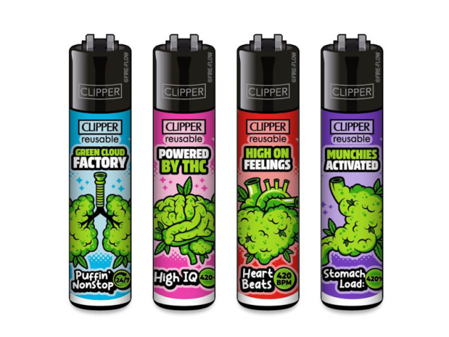 Clipper Large 420 ANATOMY, 48er Display