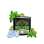187tobacco - Green Lights (Kiwi) - 200g (29,90 Euro)
