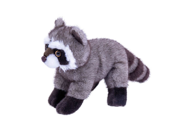 Waschbär stehend, 19/23cm, einzeln