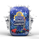 187 Zahnstocher - HAMBURG (Waldbeeren Mix) 100er Dose