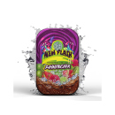 187 Zahnstocher - New Flash (Cola-Drachenfrucht) 100er Dose