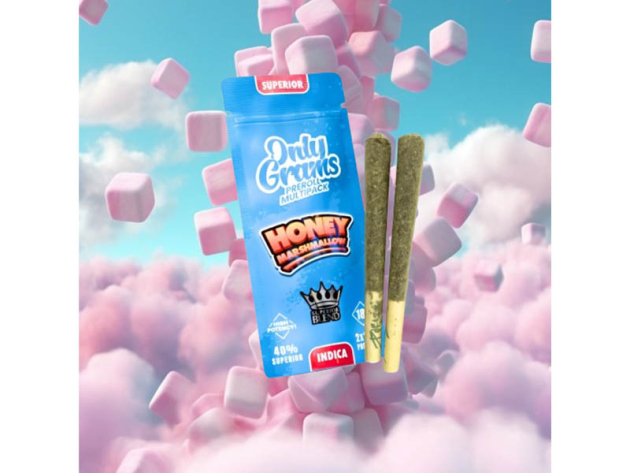 Only Grams Superior Pre-Rolls - Honey Marshmallow - 3g - 2er Pack