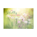 KULTURA Gru&szlig;karten "Geburtstag", 4er Pack