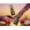 Lafume Aurora Pod - Dragonfruit Zanzibar (Erdbeere, Kiwi, Drachenfrucht) - 18mg - 2er Set
